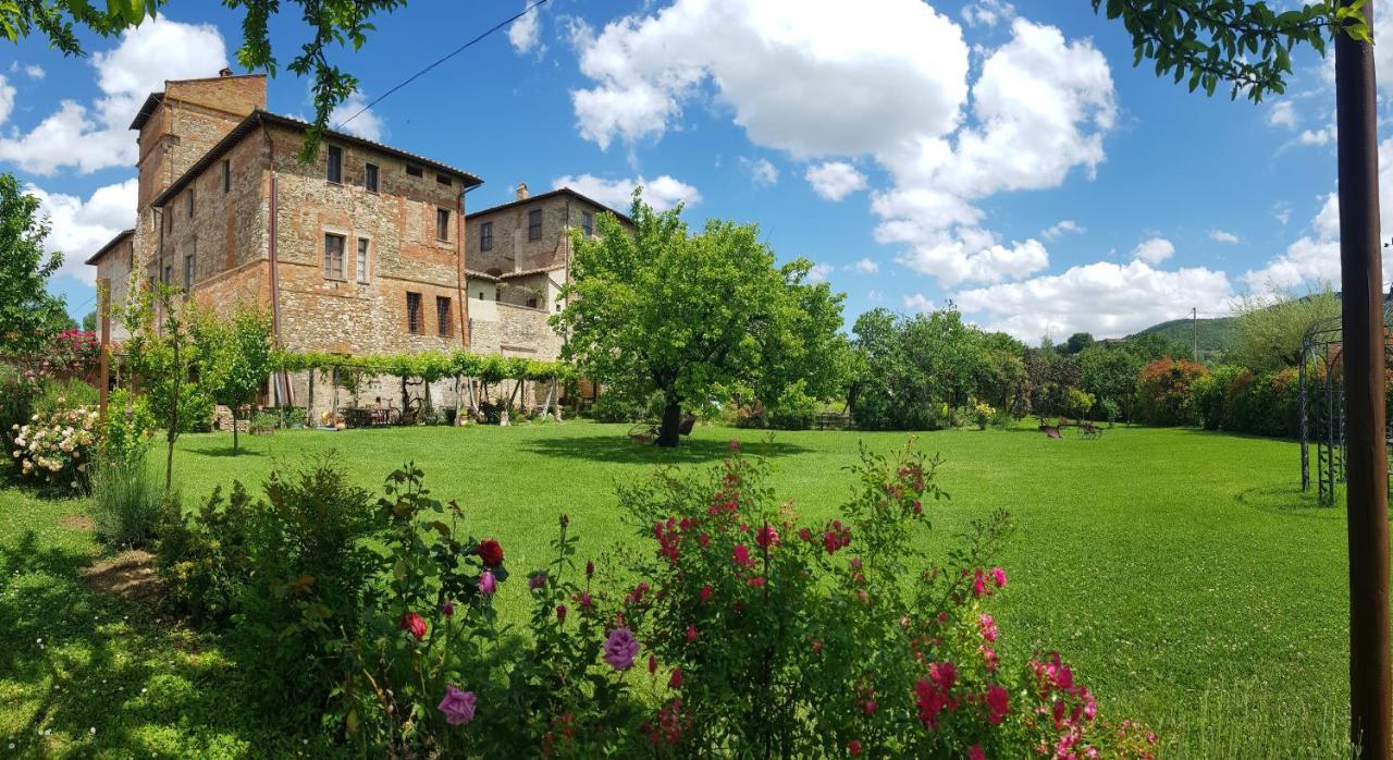 Agriturismo Abbazia Sette Frati A Casa Di Sara Pietrafitta  Екстер'єр фото