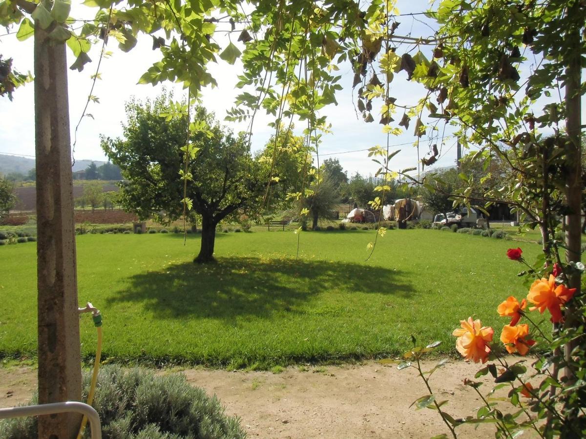 Agriturismo Abbazia Sette Frati A Casa Di Sara Pietrafitta  Екстер'єр фото